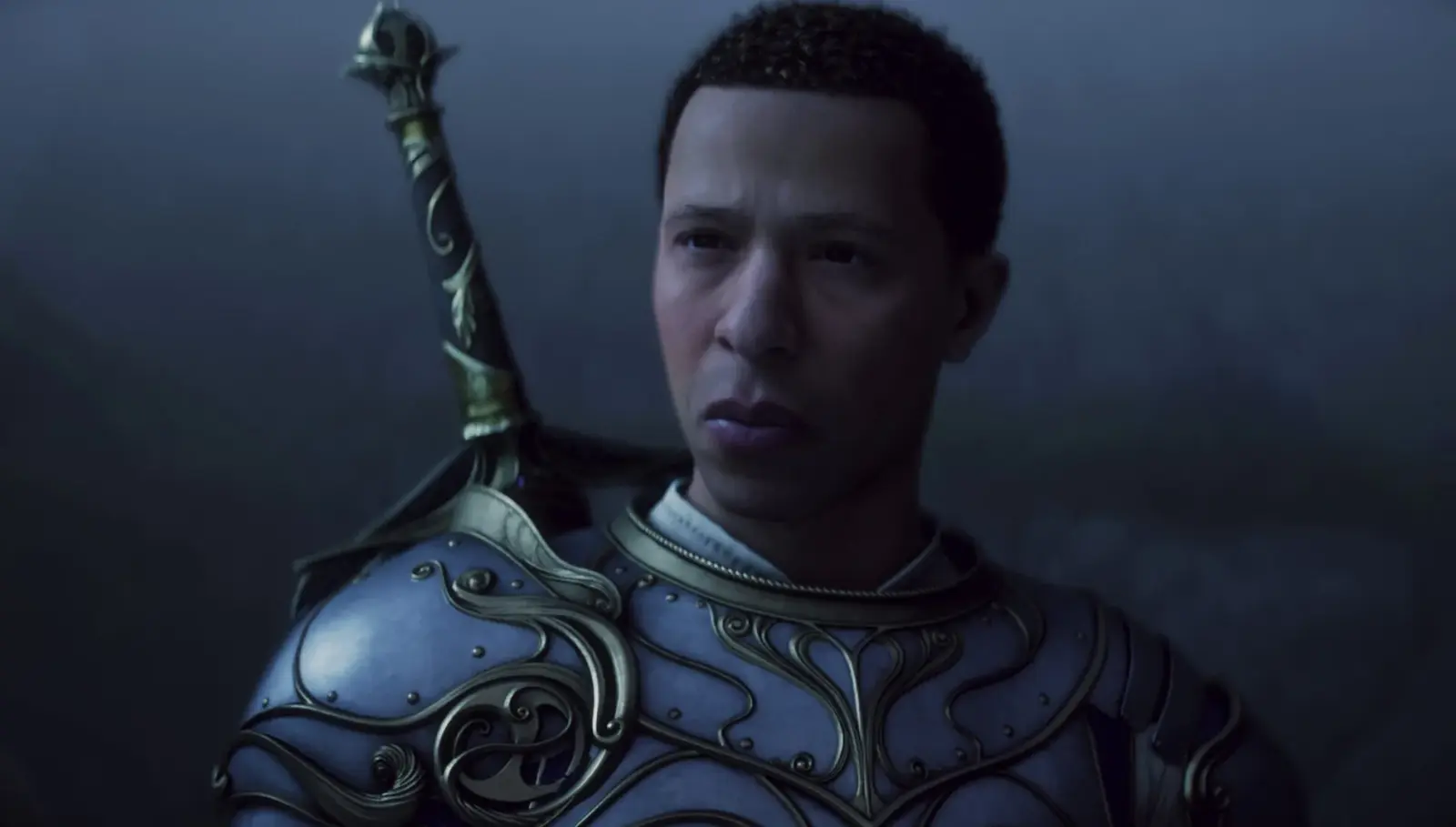 A male Hero wearing ornate blue armor carries a sword across his back.