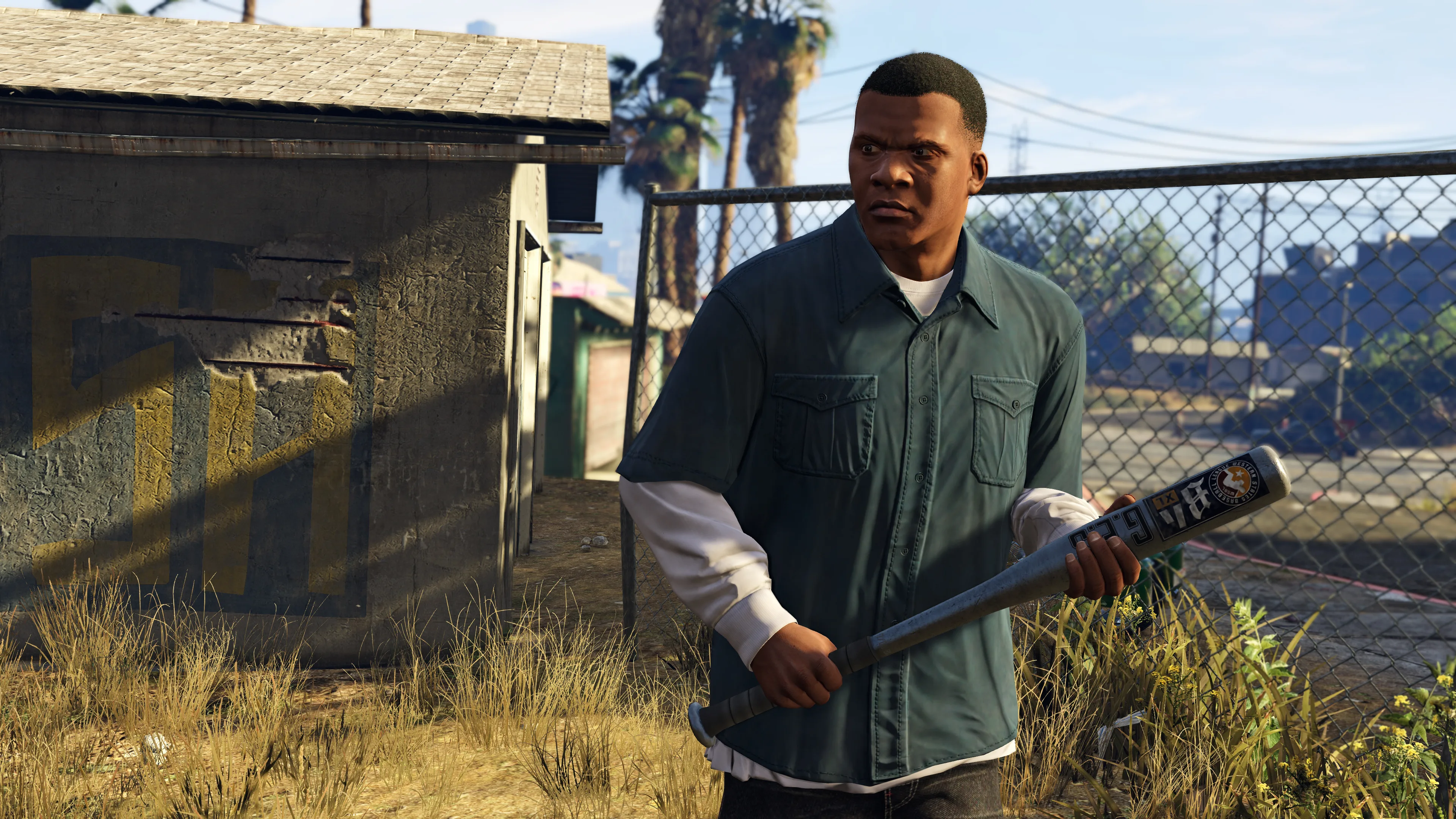 Franklin holds a baseball bat beside a fenced residential lot with palm trees behind him.