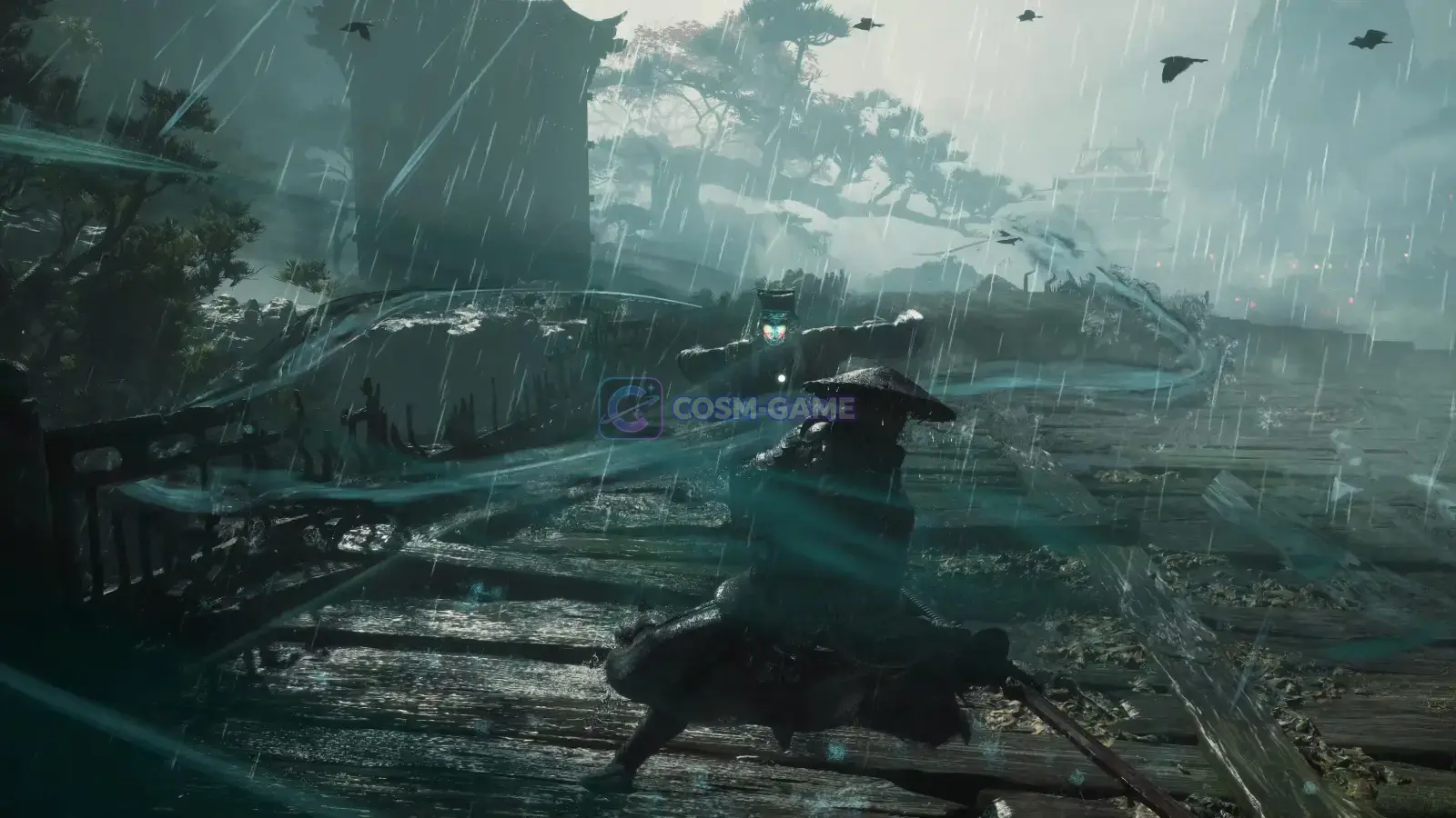 Soul travels through a misty rain-soaked environment.