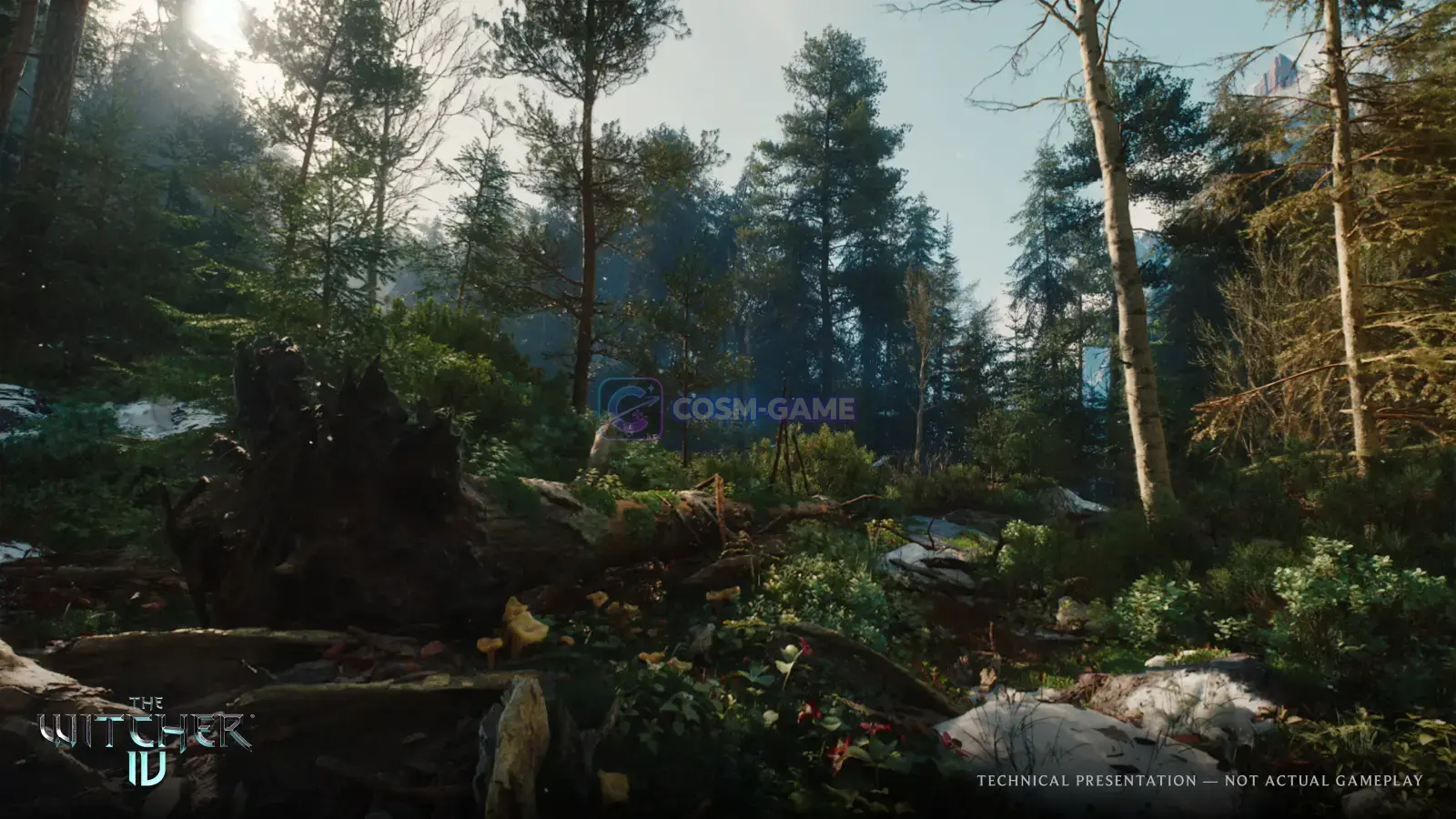 Ciri rides through a dense forest in the region of Kovir.